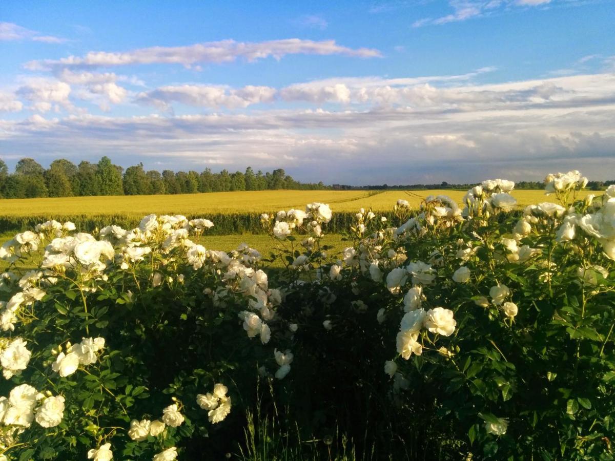 Bed and Breakfast Antica Vigna Кьоджа Экстерьер фото