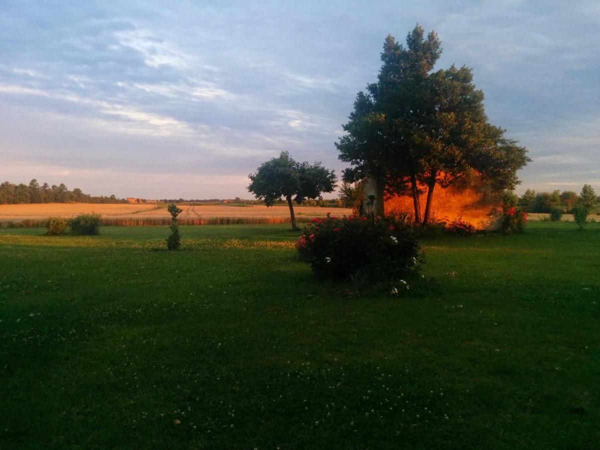 Bed and Breakfast Antica Vigna Кьоджа Экстерьер фото